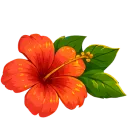 left small decoration